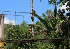 Progres Pembangunan Infrastruktur di Desa Pati’di Terus Dipacu, Jembatan Garuda Tunjukkan Percepatan Signifikan